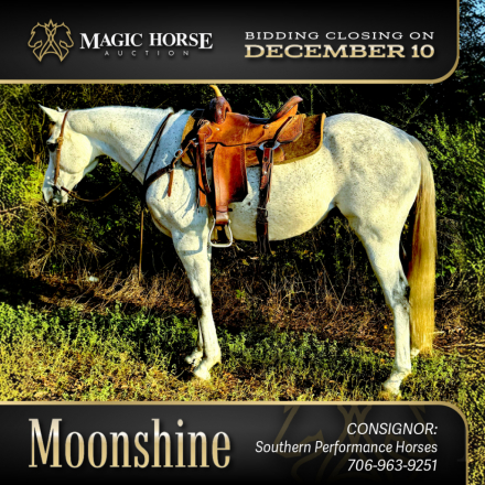 HorseID: 2286444 Moonshine - PhotoID: 1063260