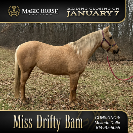 HorseID: 2286446 Miss Drifty Bam - PhotoID: 1063262