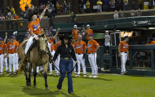 HorseID: 2286486 Whiskey. Star of the CU Savanana Banana Game! - PhotoID: 1063313