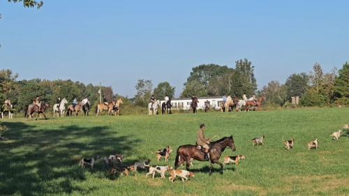 HorseID: 2286486 Whiskey. Star of the CU Savanana Banana Game! - PhotoID: 1063316