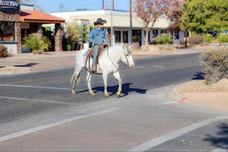 HorseID: 2286760 Mohons Blue Concha DC - PhotoID: 1063771