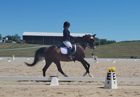 HorseID: 2286779 PL Riptide - PhotoID: 1090353