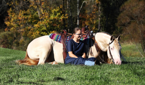 The Prince Of Platinum, Smoky Cream AQHA Quarter Horse Gelding, Prince ...