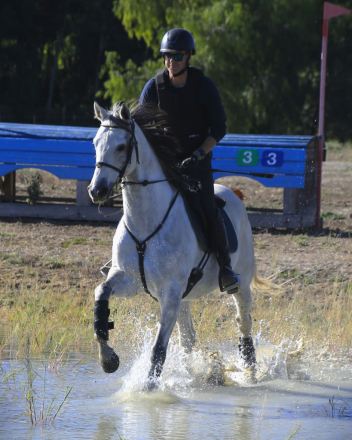 HorseID: 2286954 He Is Risen - PhotoID: 1063955