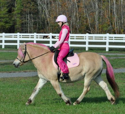 HorseID: 2286963 Plain Dealing's Cecilia - PhotoID: 1063967