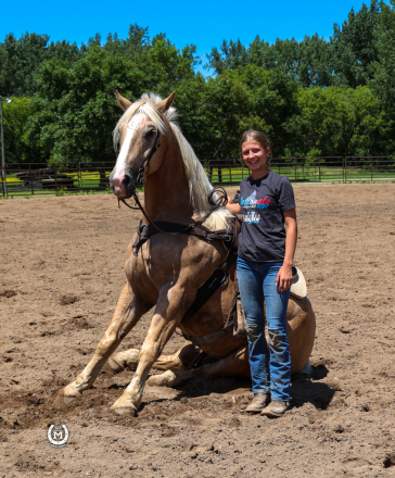 HorseID: 2287041 Bar Ms Dallas - PhotoID: 1064121