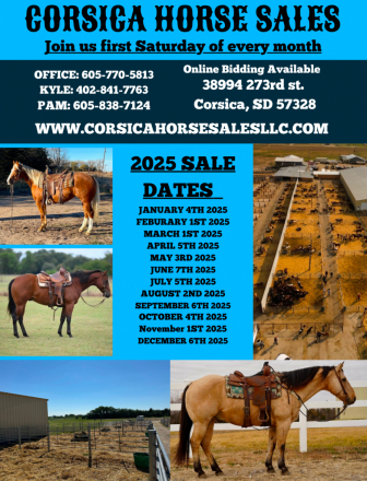 HorseID: 2287200 MONTHLY HORSE SALE! - PhotoID: 1064272