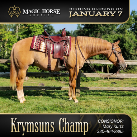 HorseID: 2287652 Krymsun's Champ - PhotoID: 1064894