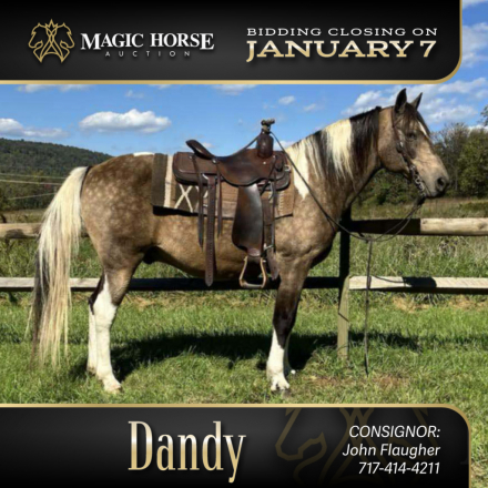 HorseID: 2287657 Dandy - PhotoID: 1064899