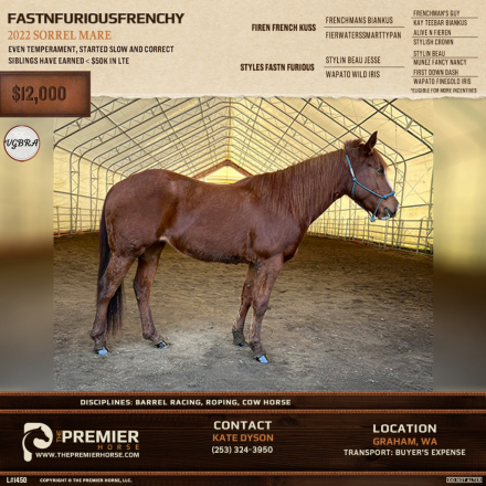 HorseID: 2287781 Fastn Furious Frenchy - PhotoID: 1065044