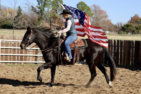 HorseID: 2287796 TLJ WYO DRIFT CAT - PhotoID: 1065056