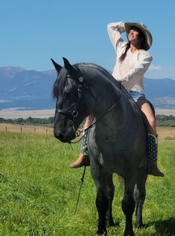 HorseID: 2188871 Hacienda Jackpot - PhotoID: 1079115