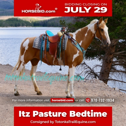 HorseID: 2253895 Itz Pasture Bedtime - PhotoID: 1028754