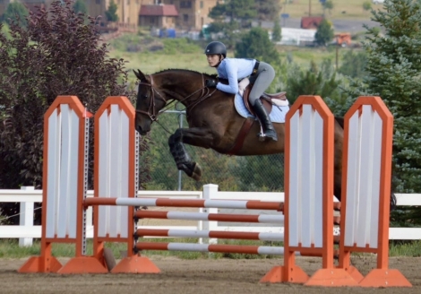 HorseID: 2274797 Cleveland HME - PhotoID: 1050070