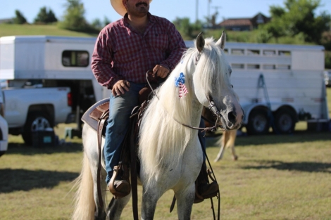 HorseID: 2276176 Iceman M$ - PhotoID: 1050139