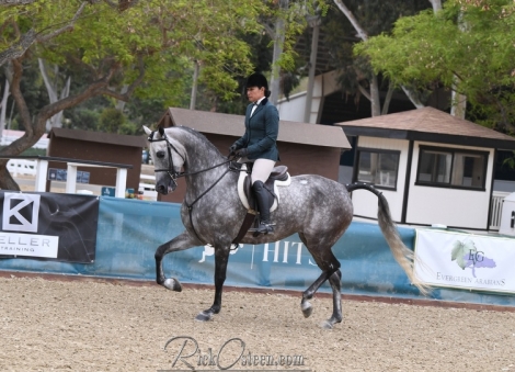 HorseID: 2276322 Anaaka DWA - PhotoID: 1049572