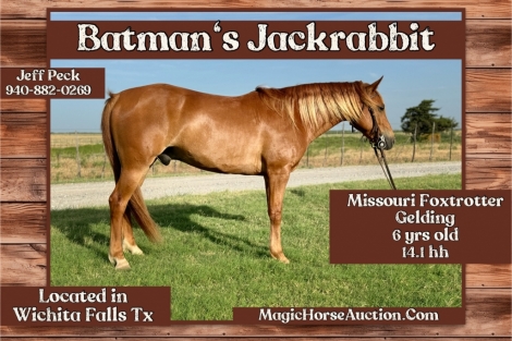 HorseID: 2276580 Batman's Jackrabbit - PhotoID: 1049919