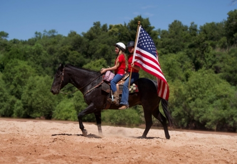 HorseID: 2276581 Boonefide Cowboy - PhotoID: 1050125