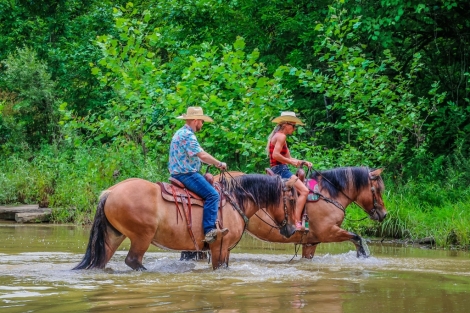 HorseID: 2276691 Thelma & Louise - PhotoID: 1050154