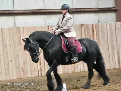 HorseID: 2276739 DTE Geordi's Isabelle - PhotoID: 1050095