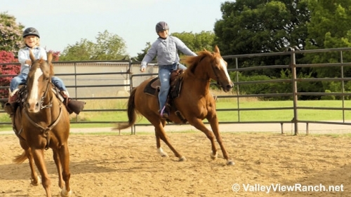 HorseID: 2276751 Dear Gus - PhotoID: 1050169