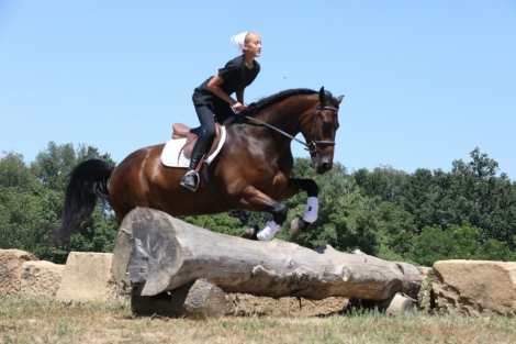 HorseID: 2277010 Ollie - PhotoID: 1050465