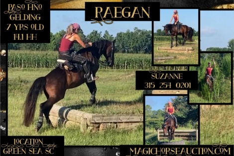 HorseID: 2277139 Raegan - PhotoID: 1050624