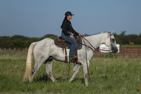 HorseID: 2277150 Greys Dashing Twist - PhotoID: 1050737