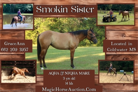 HorseID: 2277155 Smokin Sister - PhotoID: 1050630