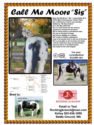 HorseID: 2277220 Call Me Moore - PhotoID: 1050682