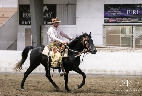 HorseID: 2277318 McCurdy's King Creole - PhotoID: 1050869