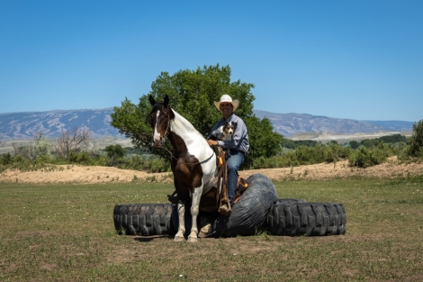 HorseID: 2277363 Mavericks Taxi Ride - PhotoID: 1050940