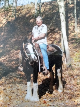 HorseID: 2277458 Lewis Mill's Lady in the Moon - PhotoID: 1051061