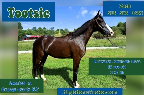 HorseID: 2277554 Tootsie* - PhotoID: 1051197