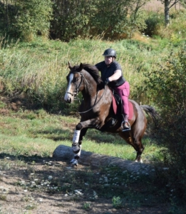 HorseID: 2277632 Charles - PhotoID: 1051277