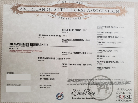 HorseID: 2277646 MEGASHINES REINMAKER - PhotoID: 1080741