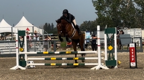 HorseID: 2277802 Sullivan - PhotoID: 1051523