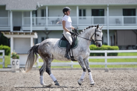 HorseID: 2277958 Iolita Luna De Perseides - PhotoID: 1051753