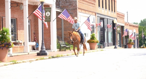 HorseID: 2278123 Boone Smart Blue Scoot - PhotoID: 1052061