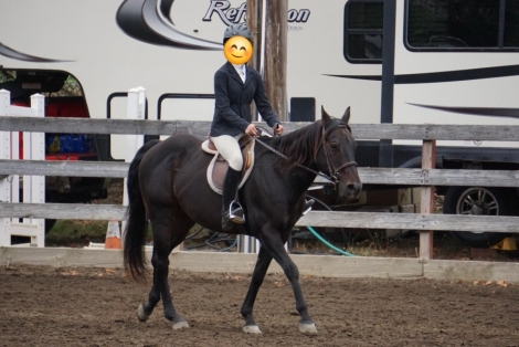 HorseID: 2278190 Pablo’s Jr starlight - PhotoID: 1052023