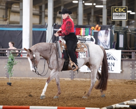 HorseID: 2278400 VS REDLINE - PhotoID: 1052339