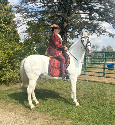 HorseID: 2284503 Irazu - PhotoID: 1070857