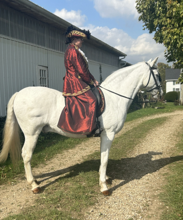 HorseID: 2284503 Irazu - PhotoID: 1070858