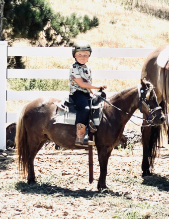 HorseID: 2289985 Smokey - PhotoID: 1079649