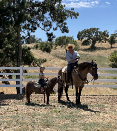 HorseID: 2289985 Smokey - PhotoID: 1079651