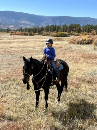 HorseID: 2292193 Pak N Heat - PhotoID: 1070876