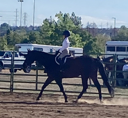 HorseID: 2292193 Pak N Heat - PhotoID: 1070877