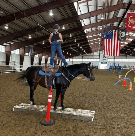 HorseID: 2292193 Pak N Heat - PhotoID: 1070879