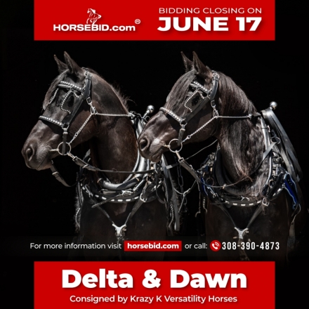 HorseID: 2247450 Delta & Dawn - PhotoID: 1033506