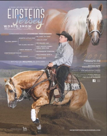 HorseID: 2259057 Einsteins Jersey - PhotoID: 1025767